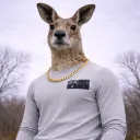 lucaswinter44