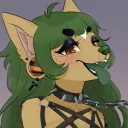 unihuahua