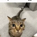 76561199382052317