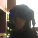 theshadow76