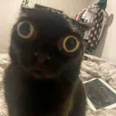 Аватар _rip34_