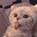 krzak_97
