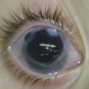 avatar полеверть