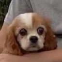 nathanc05