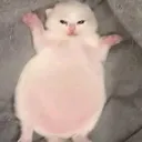 catboxyt