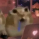 buchimari