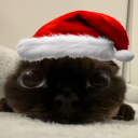 avatar 》☆𝙋𝙪𝙡𝙯☆《