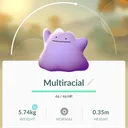 .multiracial