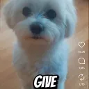 kody_blu_31