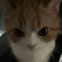 oxkillsyou avatar