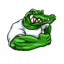 crocodiles128