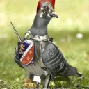 pigeongirl_