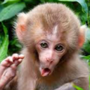avatar cletna