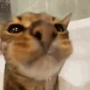 mkwb