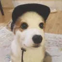 het_the_hat