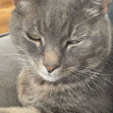 avatar 𝑵𝒆𝒗𝒂𝒆𝒉ꨄ