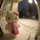 avatar .𐔤ᥙιιkᥲ.