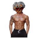 arcowells
