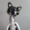 avatar ˙⋆✮ joanna