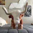 rodagave