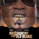 avatar No Country for Old Mane