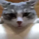 Аватар horyous