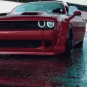 catarov8
