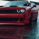 catarov8