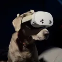 coltsfan44