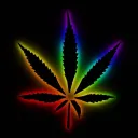 josephns avatar