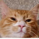 merus03#9613's avatar