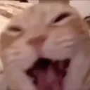 thesuultan