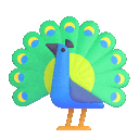 Aerokai