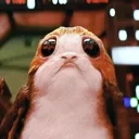 porg's Avatar