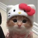 _ninni_