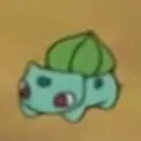 skibsii