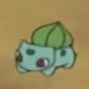 skibsii