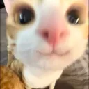 ammiii3 avatar