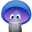 shroove
