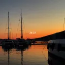 iliketrees65