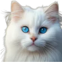 whiteecattt