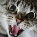 Maniac