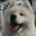 avatar cycolinka rozklapuszka