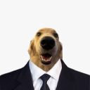 avatar 🦋جويمار