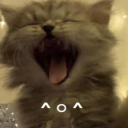 avatar jennifer ₊❅