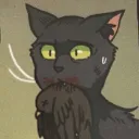 lynxiecatto