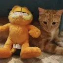 miredsito