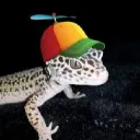 imgeevo