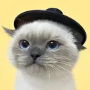 siamdayo