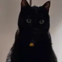 ettelle